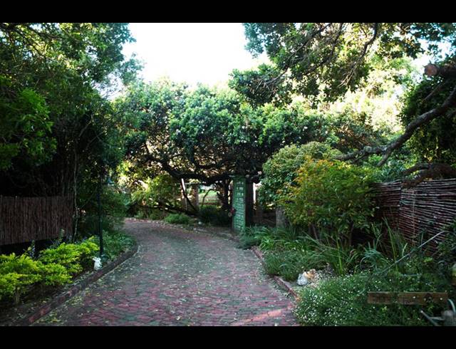 5 BEDROOM PROPERTY TO RENT IN CHELSEA